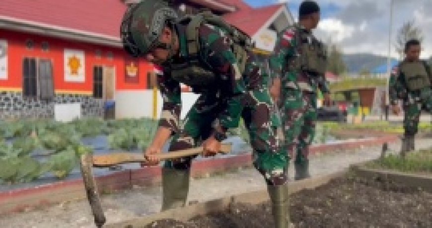 Satgas Yonif 509 Kostrad Tanam Sayur dan Tabur Benih Ikan Lele Di Papua