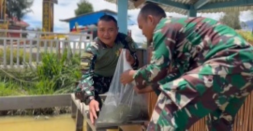 Satgas Yonif 509 Kostrad Tanam Sayur dan Tabur Benih Ikan Lele Di Papua