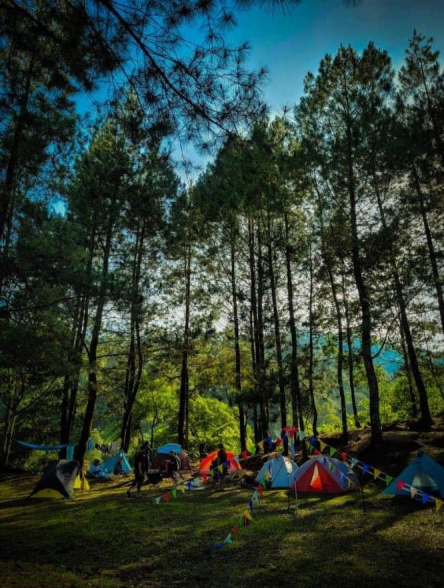 Nyamannya Nge-Camp Di Bukit Pinus Paseban