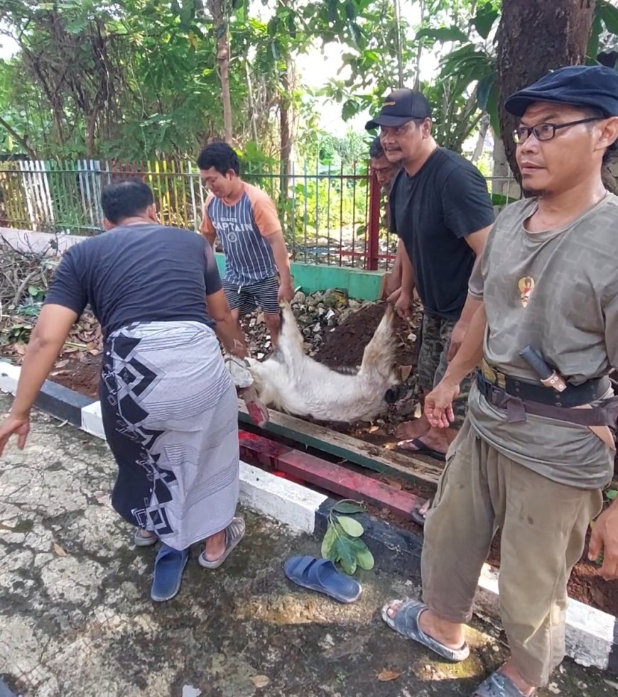 Keseruan Jemaah Masjid Al Muhajirin Rayakan Idul Adha