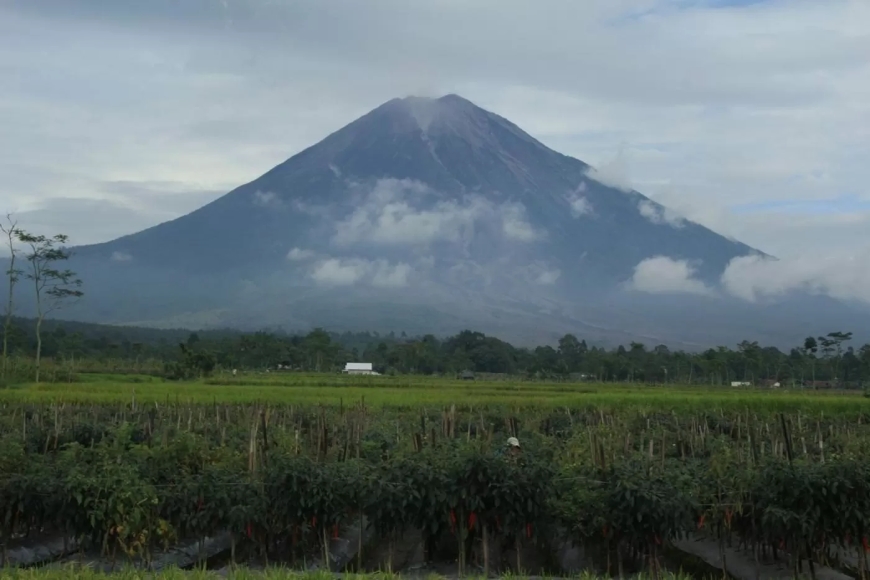 Gunung Semeru 7 Kali Erupsi Pada Hari Ini