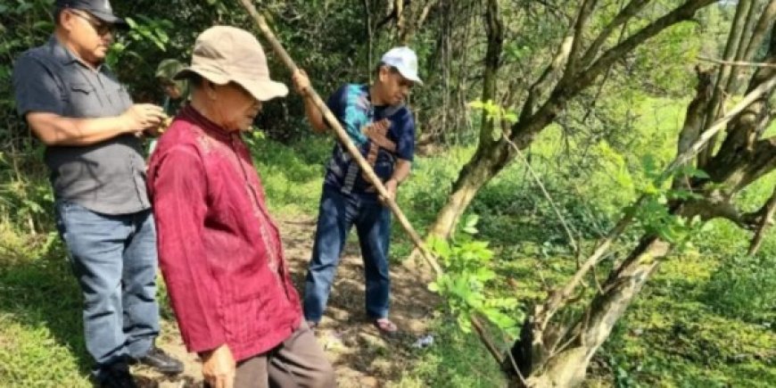 Petani di Tangerang 'Sulap' Lahan Tidur Jadi Lahan Produktif